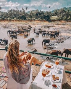What to do Sri Lanka